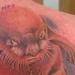 Tattoos - groundhog - 65372